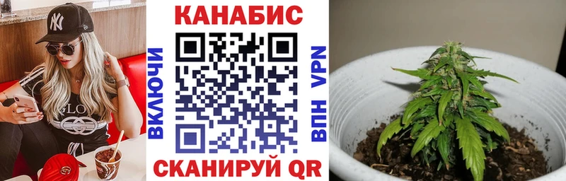 Где купить наркотики Солнечногорск Метадон  Кокаин  Псилоцибиновые грибы 