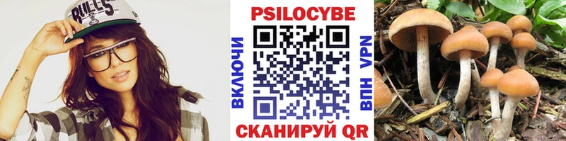 купить закладку  Солнечногорск  Псилоцибиновые грибы Cubensis 